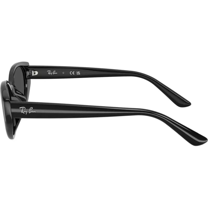 Ray-Ban RB4457D 6677/87 – Transparent Brown Grey