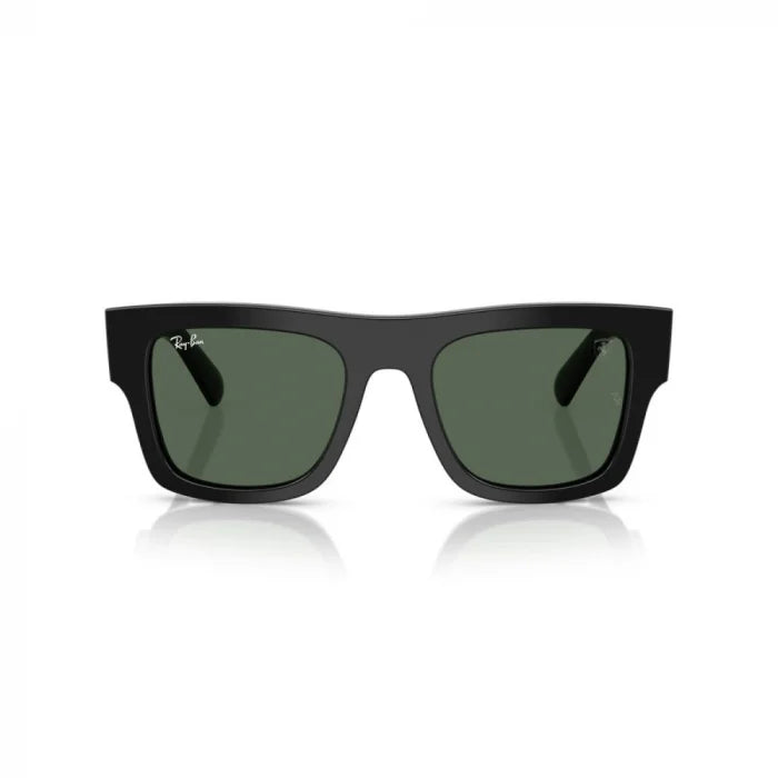 Ray-Ban Ferrari RB2217M F60171 – Black Green