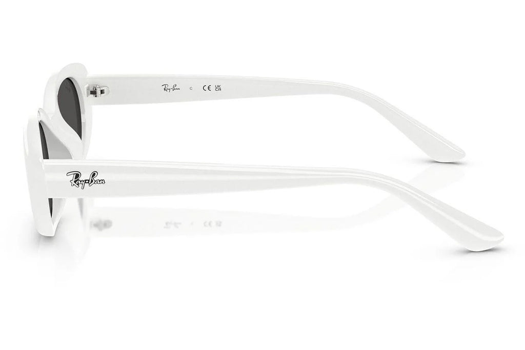 Ray-Ban RB4441D 6772/87 53mm – Transparent Brown Grey