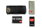 Ray-Ban Ferrari RB4413M F68371 – Black Green