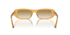 Ray-Ban RB4436D 668213 – Transparent Beige Brown